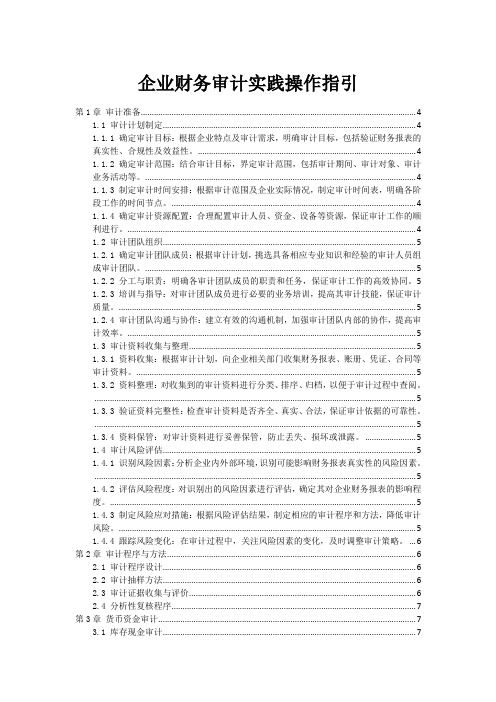 企业财务审计实践操作指引