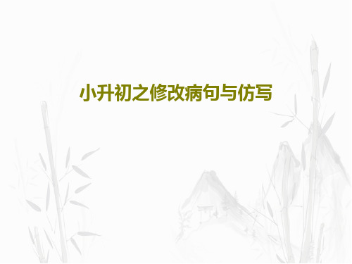 小升初之修改病句与仿写PPT文档共41页