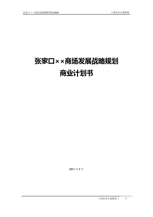 张家口商场发展战略规划-2016年