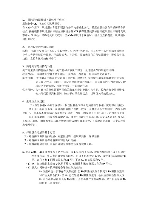 生理解剖学