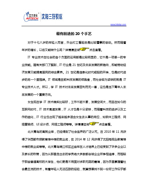 最有前途的20个手艺