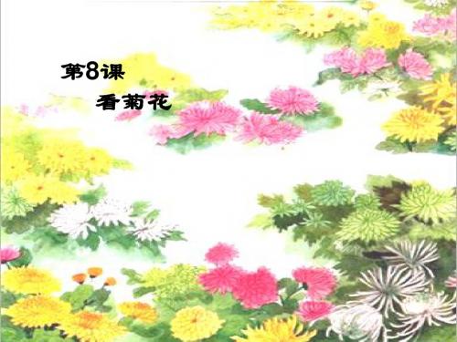 苏教版一年级上册语文《看菊花》公开课课件PPT