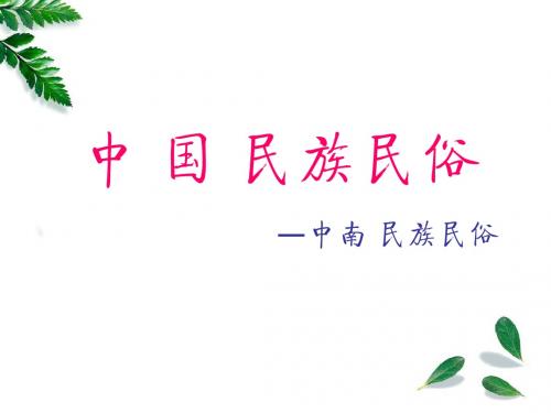 中南少数民族-丁姣