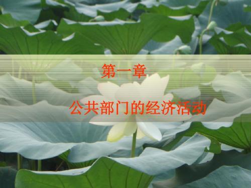 1第一章_公共部门的经济活动