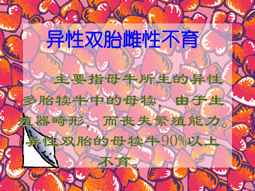 异性双胎雌性不育