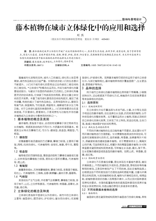 藤本植物在城市立体绿化中的应用和选择