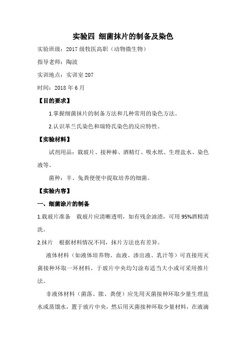 (完整版)实验四细菌抹片的制备及染色