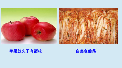 无氧呼吸及细胞呼吸原理的应用课件-高一上学期生物人教版必修1