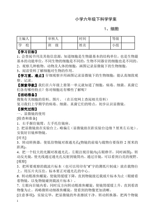 人教版六年级下册科学导学案