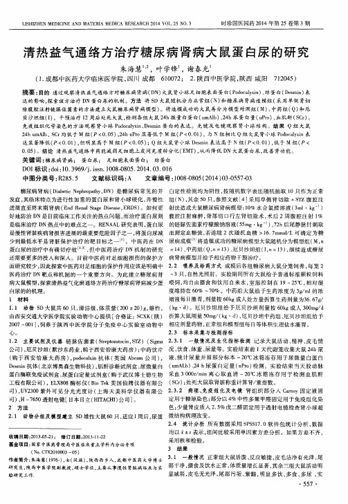 清热益气通络方治疗糖尿病肾病大鼠蛋白尿的研究