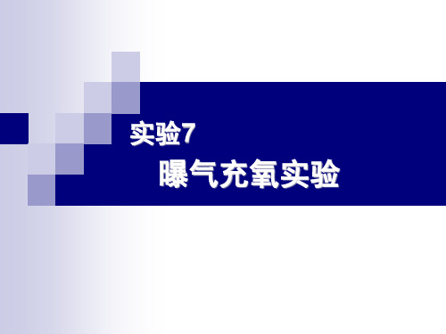 (完整版)曝气充氧实验.