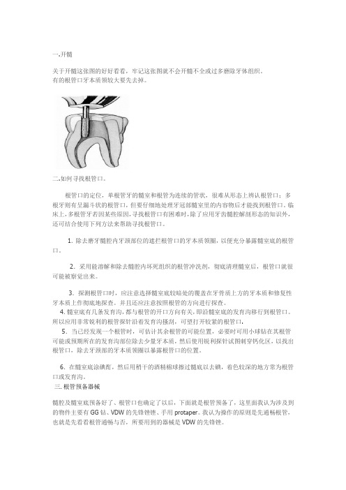 各牙的开髓洞型