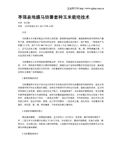 枣强县地膜马铃薯套种玉米栽培技术