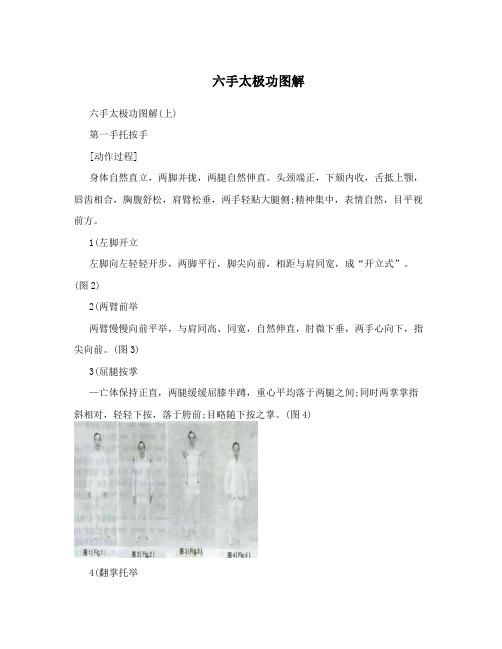 六手太极功图解