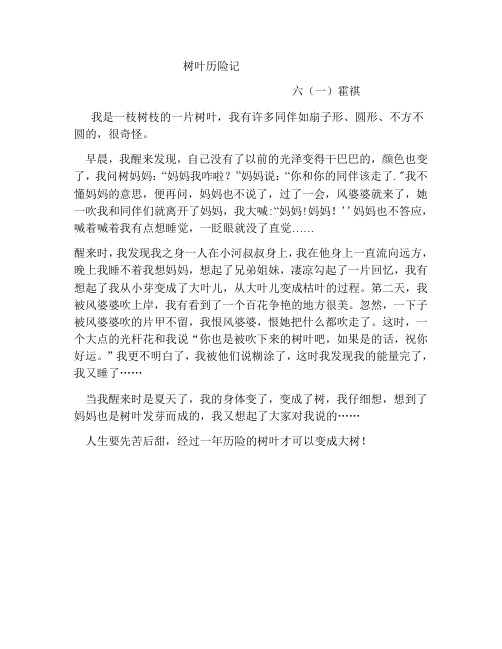 树叶历险记