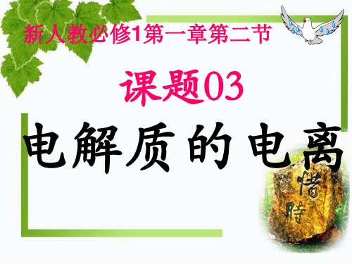 离子反应电解质的电离【新教材】人教版高中化学必修一PPT课件