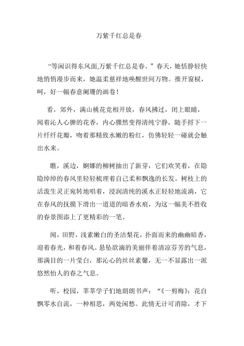 万紫千红总是春