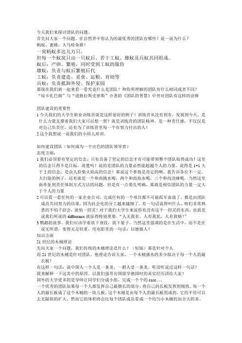 团队建设演讲提纲