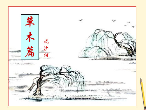 《草木篇》PPT课件 (共13张PPT)