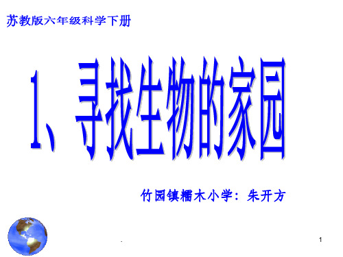 苏教版六年级下册科学《寻找生物的家园》ppt课件