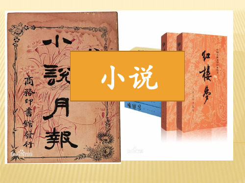 文学体裁 小说