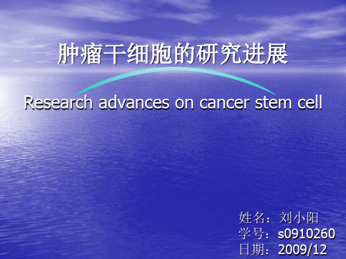 肿瘤干细胞的研究进展 课件