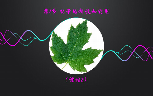 7.1.2能量的释放和利用(课时2) 课件 苏科版七年级上册生物