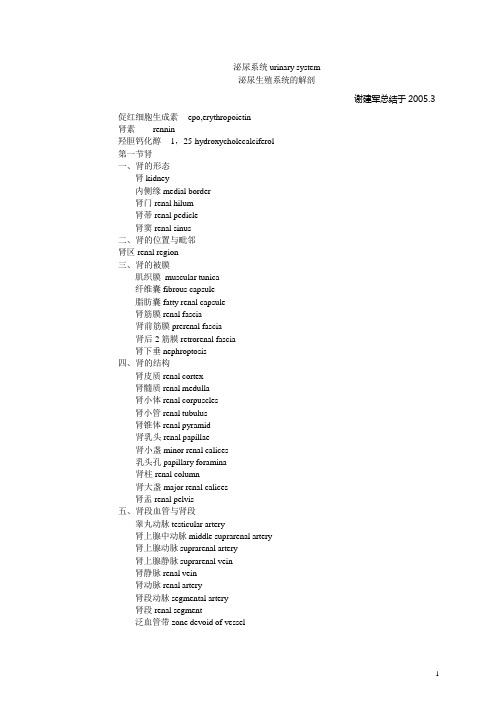 泌尿生殖词汇