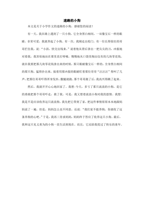 迷路的小狗_小学作文_1