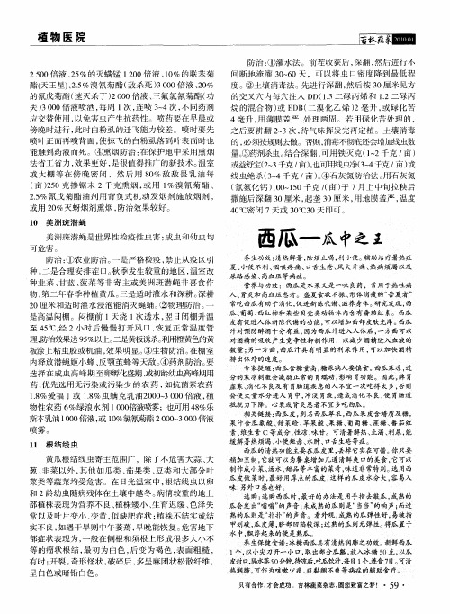 西瓜——瓜中之王