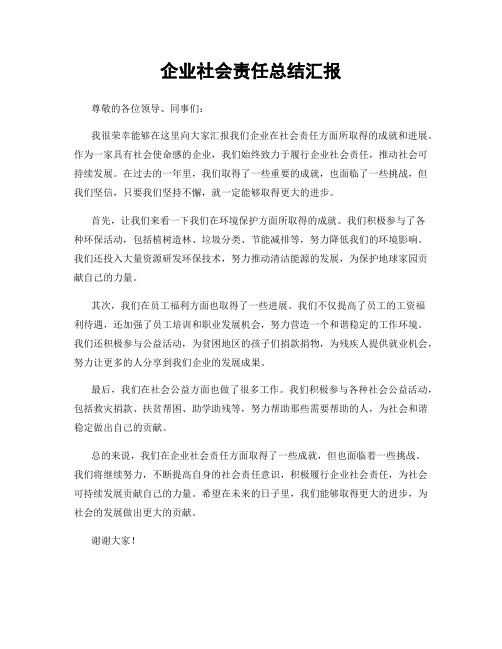 企业社会责任总结汇报