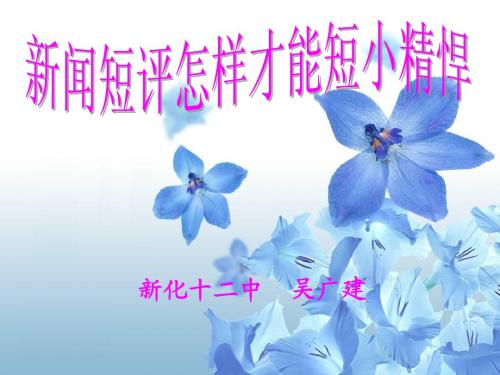 新闻短评写作课件