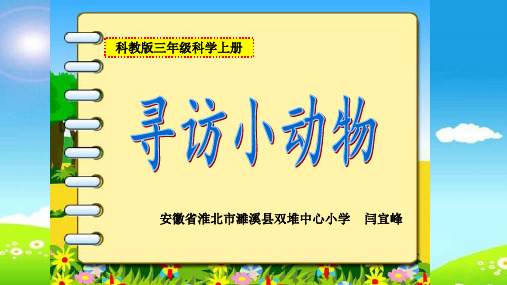 三年级上册科学课件 寻访小动物 l 教科版 (共33页)PPT