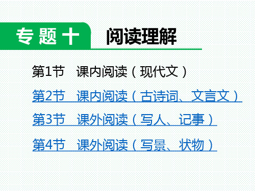 小学六年级语文 下册第二学期  小升初毕业考试 小考  总复习 高效学案练案——专题十  阅读理解