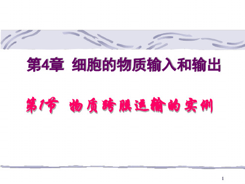 4 1物质跨膜运输的实例课件