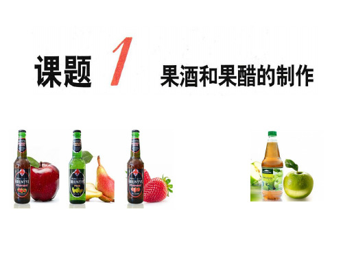 果酒和果醋的制作