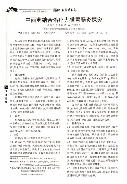 中西药结合治疗犬猫胃肠炎探究