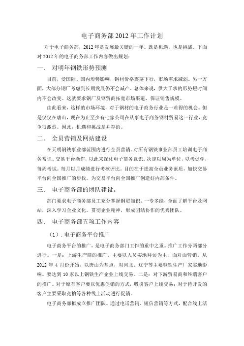 电子商务部新年度工作规划
