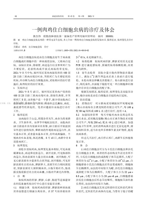 一例肉鸡住白细胞虫病的诊疗及体会