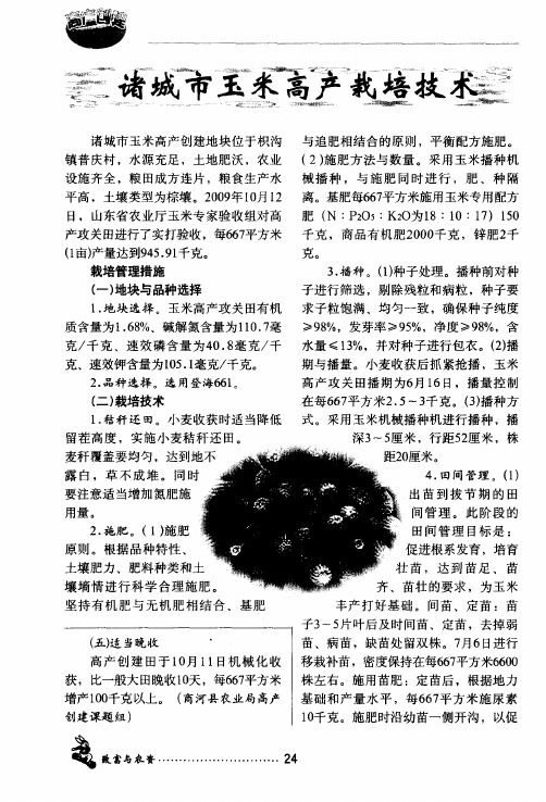 诸城市玉米高产栽培技术