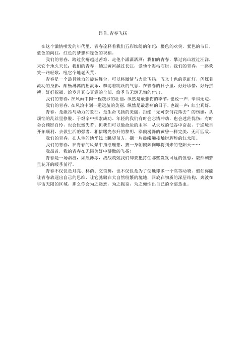 翻硕汉语作文 (4)