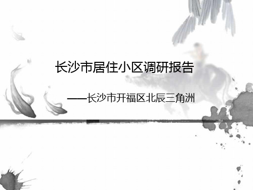 北辰三角洲