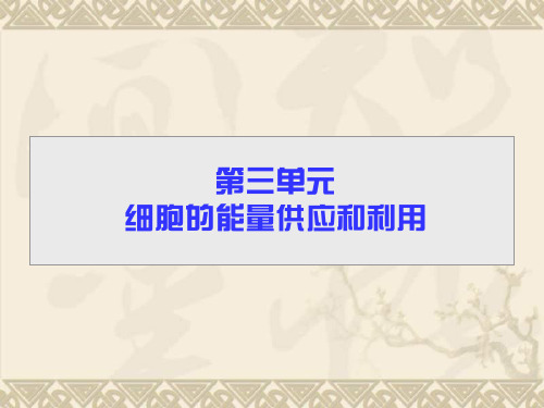 【导学教程】高考生物一轮总复习 第三单元 第一讲 酶和ATP课件