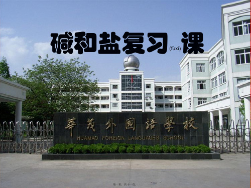 中考科学碱和盐复习初中九年级全册自然科学