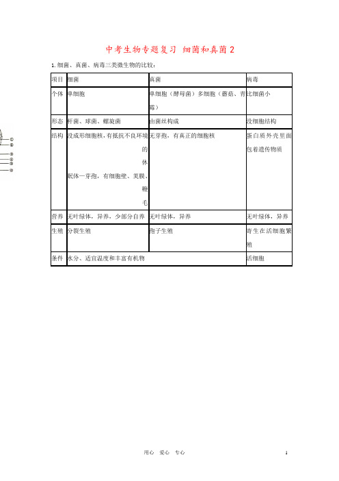 中考生物专题复习 细菌和真菌2