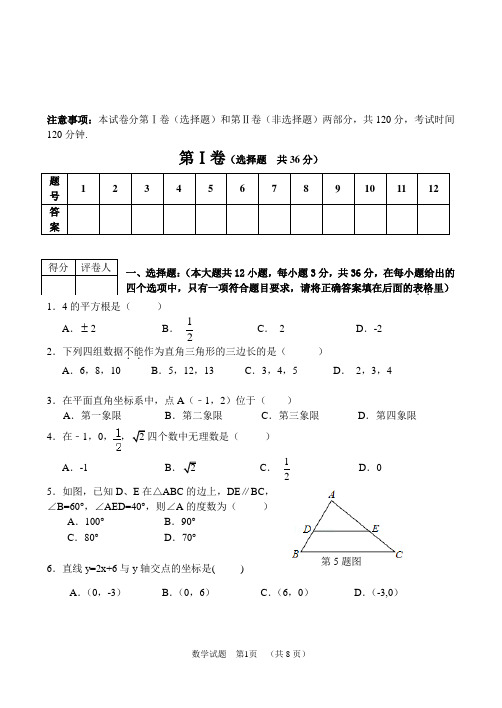 八上期末数学卷(教研员)