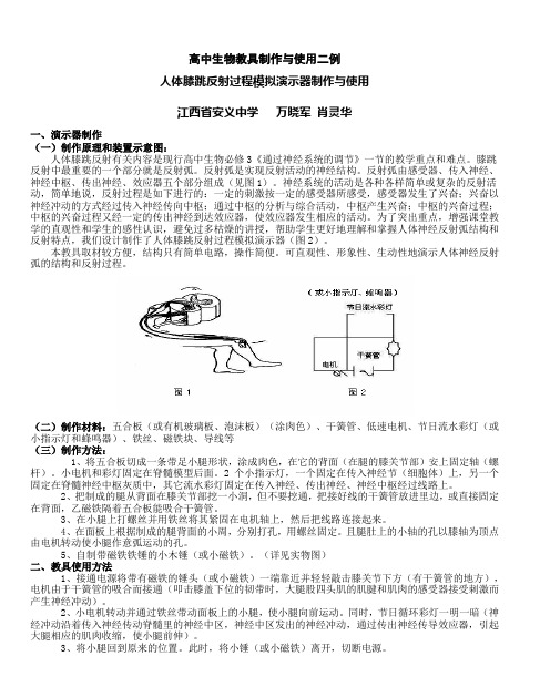 高中生物教具制作与使用二例