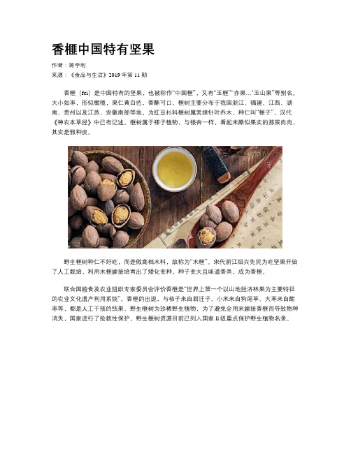 香榧中国特有坚果
