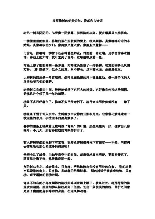 描写柳树的优美短句、段落和古诗词
