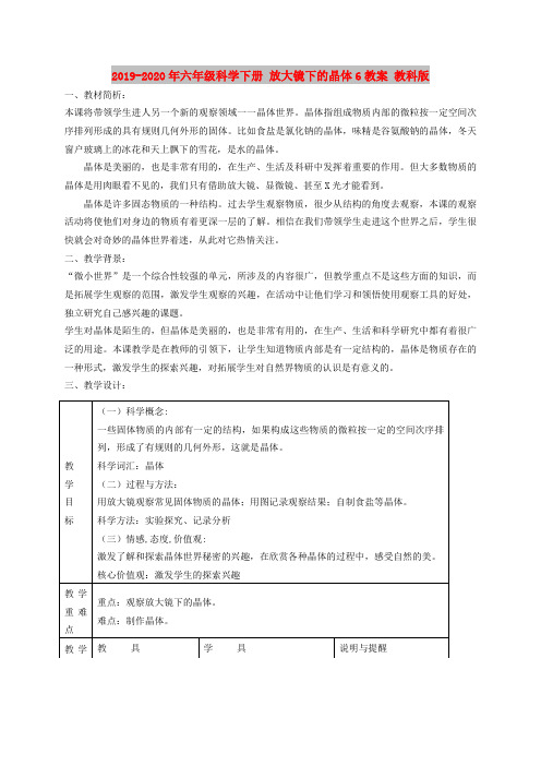 2019-2020年六年级科学下册 放大镜下的晶体6教案 教科版